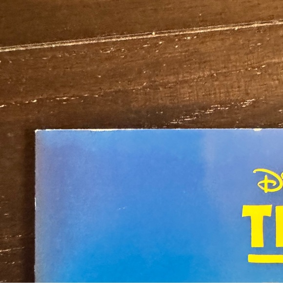 Disney THE LION KING Broadway Musical VIP Program Book 2024 - Picture 4 of 5